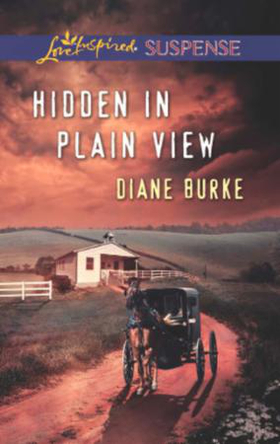 Hidden in plain view