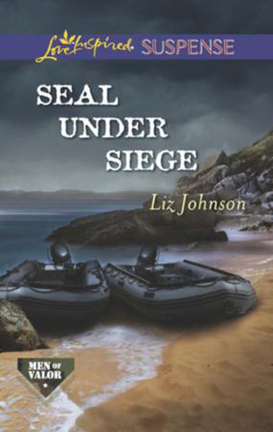 Seal under siege