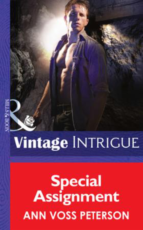 Special Assignment (ebok) av Ann Voss Peterson