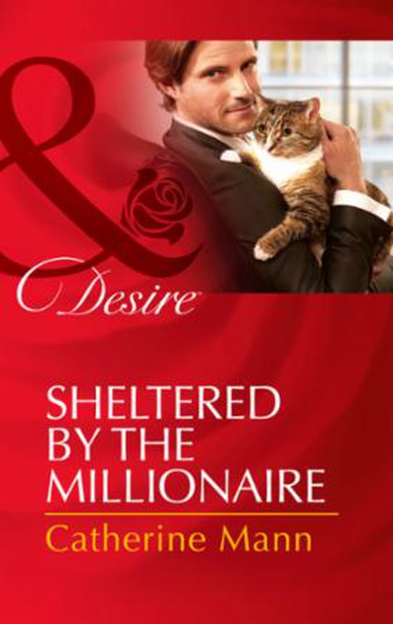 Sheltered by the Millionaire