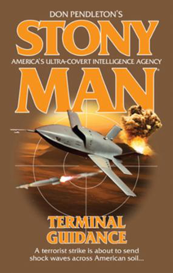 Terminal guidance