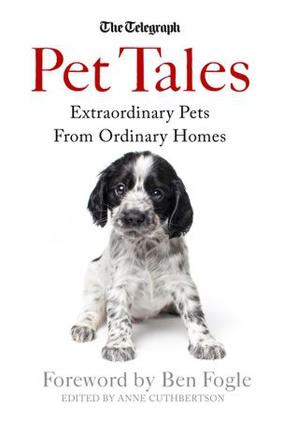 Pet Tales - Extraordinary Pets From Ordinary Homes (ebok) av Anne Cuthbertson