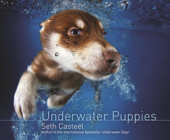Underwater Puppies (ebok) av Seth Casteel