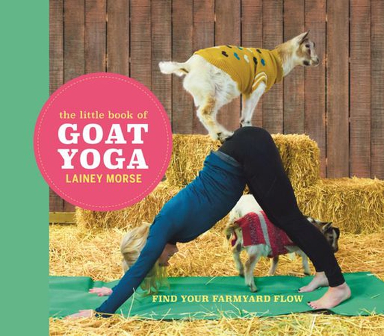 The Little Book of Goat Yoga - Find Your Farmyard Flow (ebok) av Lainey Morse