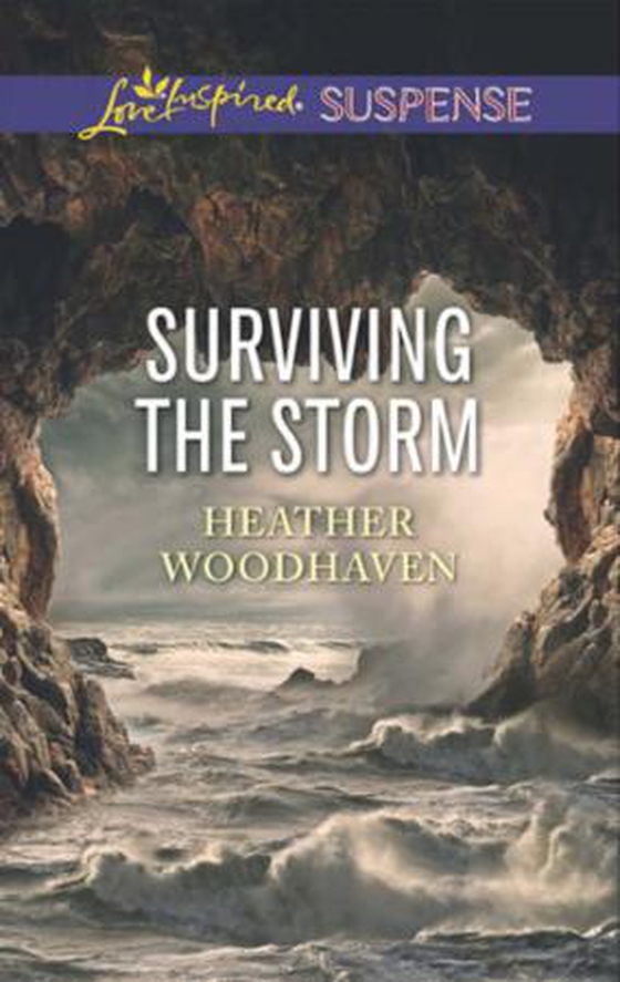 Surviving The Storm (ebok) av Heather Woodhaven