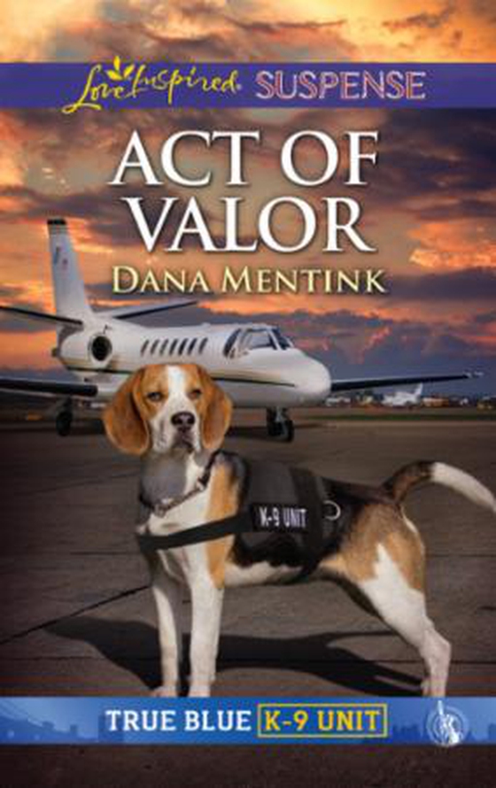 Act Of Valor