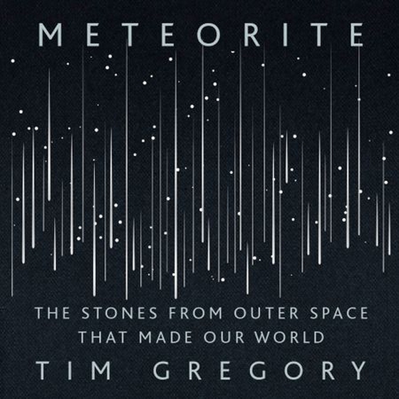 Meteorite - The Stones From Outer Space That Made Our World (lydbok) av Tim Gregory