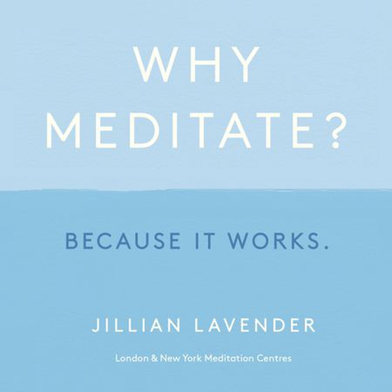 Why Meditate? Because it Works