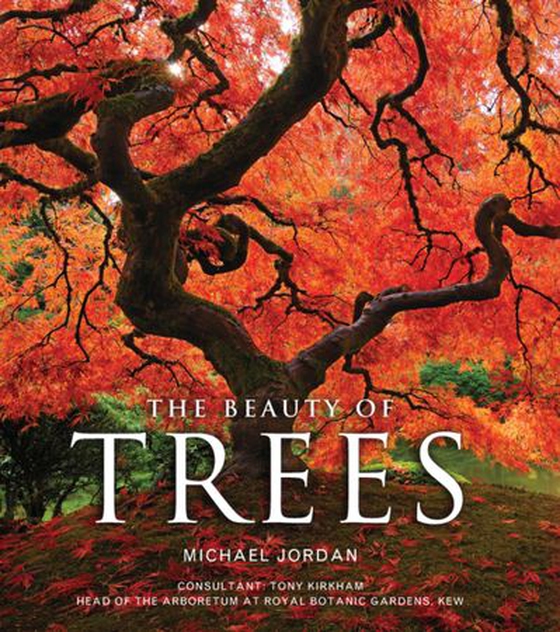 The Beauty of Trees (ebok) av Michael Jordan