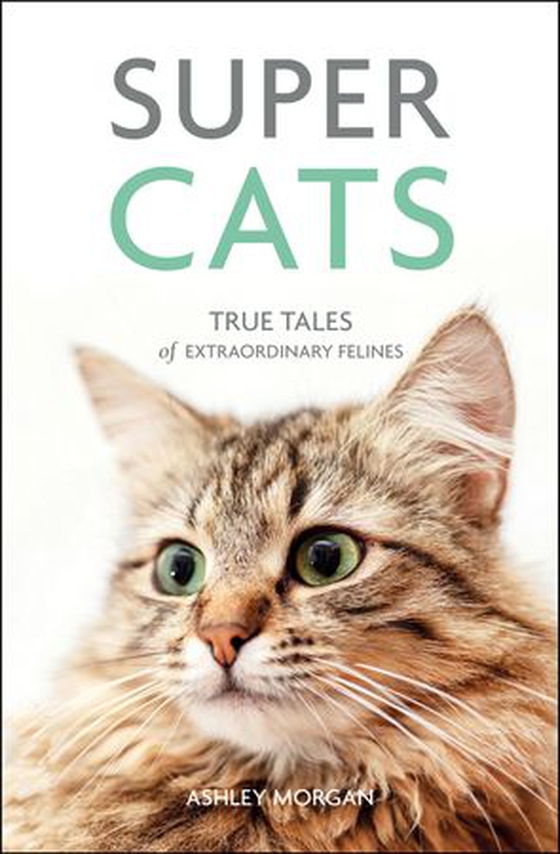 Super Cats - True Tales of Extraordinary Felines (ebok) av Ashley Morgan