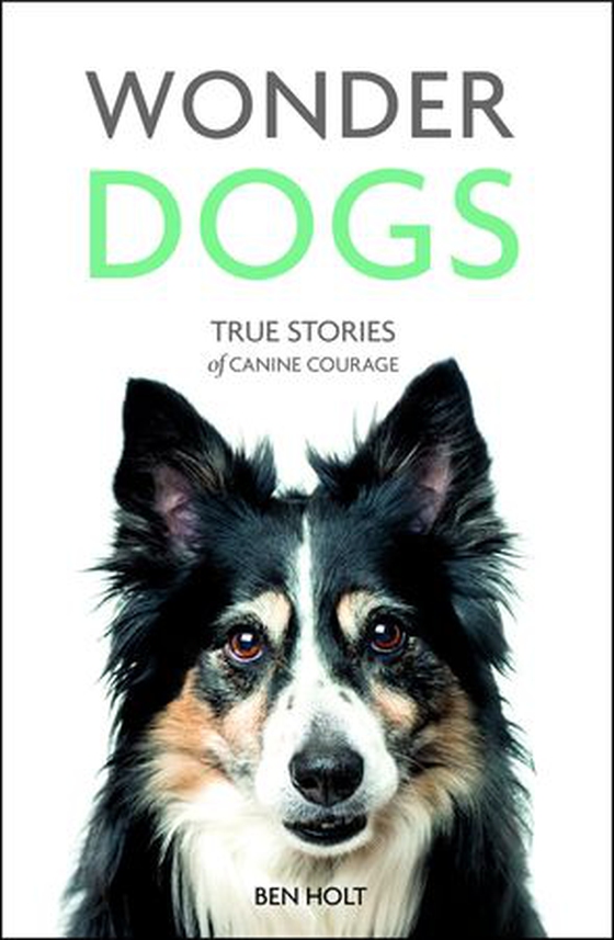 Wonder Dogs - True Stories of Canine Courage (ebok) av Ben Holt