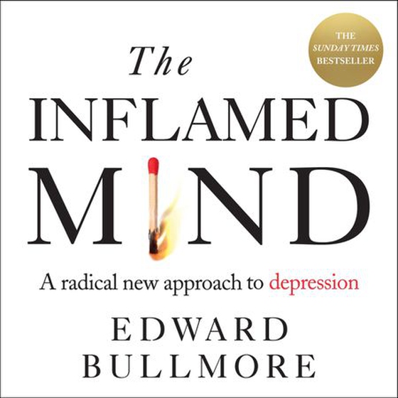The Inflamed Mind
