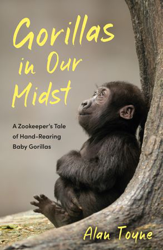 Gorillas in Our Midst - A Zookeeper’s Tale of Hand-Rearing Baby Gorillas (ebok) av Alan Toyne