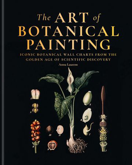 The Art of Botanical Drawing