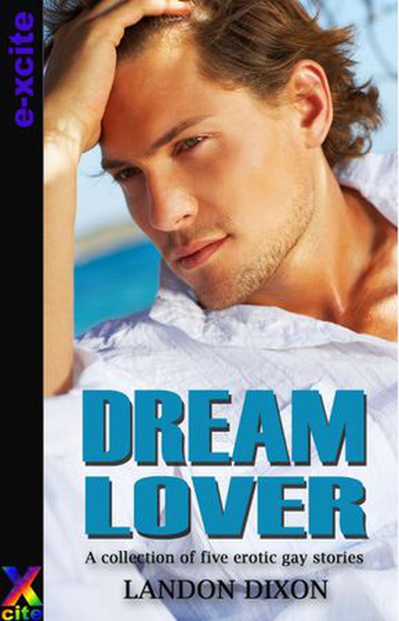 Dream Lover - A collection of five gay erotic short stories (ebok) av Landon Dixon
