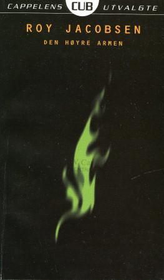 Den høyre armen (ebok) av Roy Jacobsen
