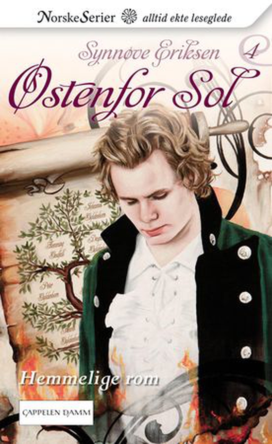 Hemmelige rom (ebok) av Synnøve Eriksen