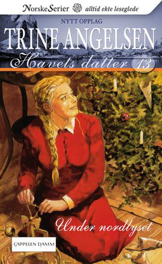 Under nordlyset (ebok) av Trine Angelsen