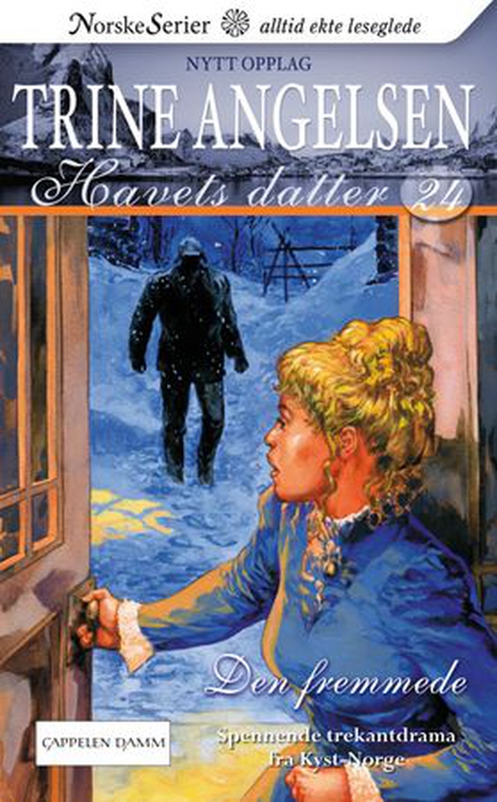 Den fremmede (ebok) av Trine Angelsen