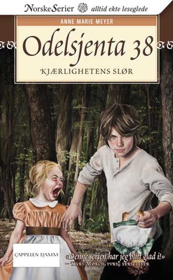 Kjærlighetens slør (ebok) av Anne Marie Meyer