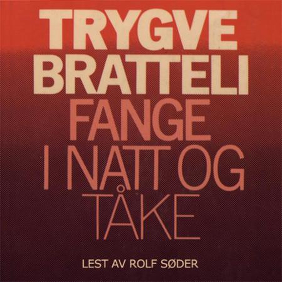 Fange i natt og tåke