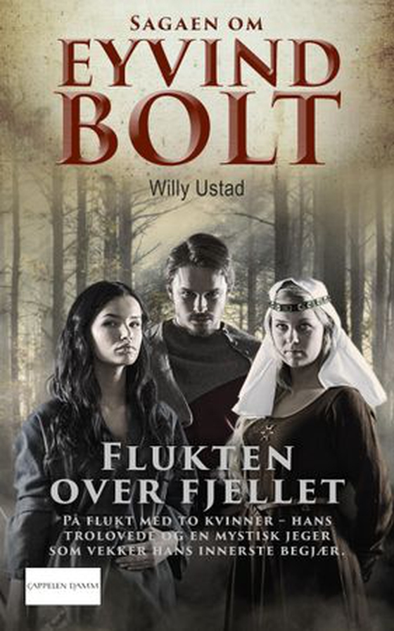 Flukten over fjellet (ebok) av Willy Ustad