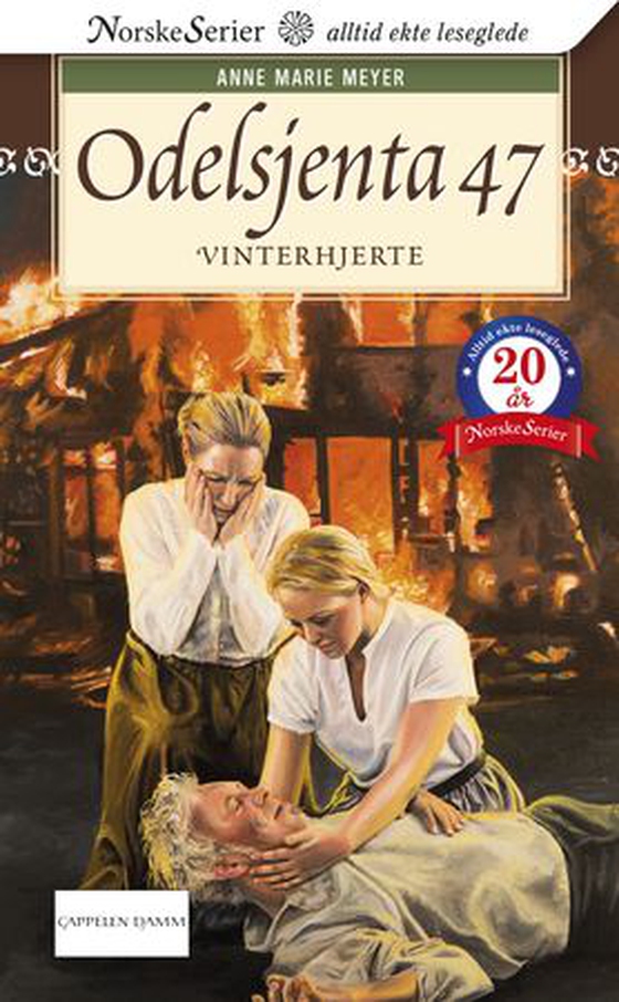Vinterhjerte (ebok) av Anne Marie Meyer