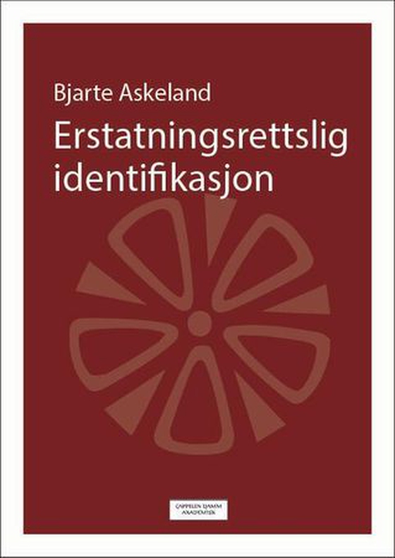 Erstatningsrettslig identifikasjon