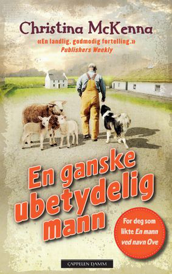 En ganske ubetydelig mann (ebok) av Christina McKenna