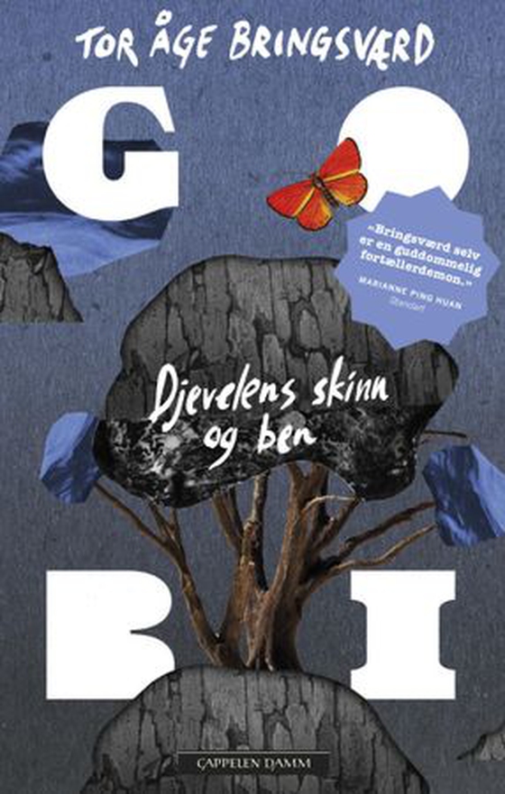 Djevelens skinn og ben - den tredje av flere bøker (ebok) av Tor Åge Bringsværd