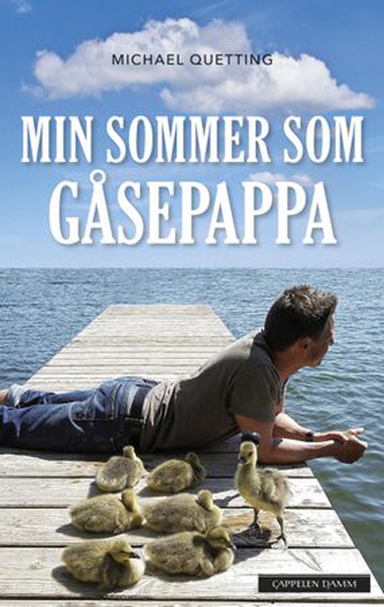 Min sommer som gåsepappa (ebok) av Michael Quetting