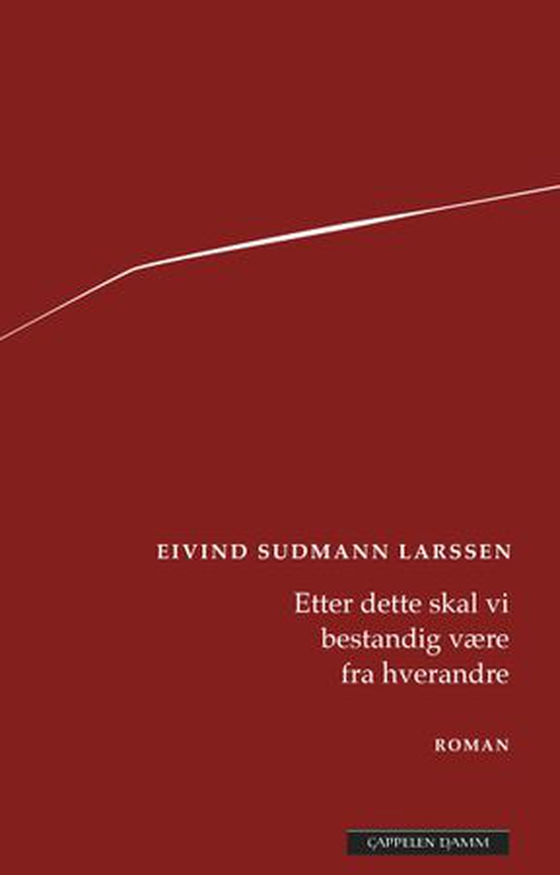 Etter dette skal vi bestandig være fra hverandre - roman (ebok) av Eivind Sudmann