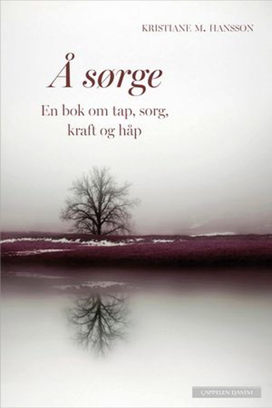 Å sørge