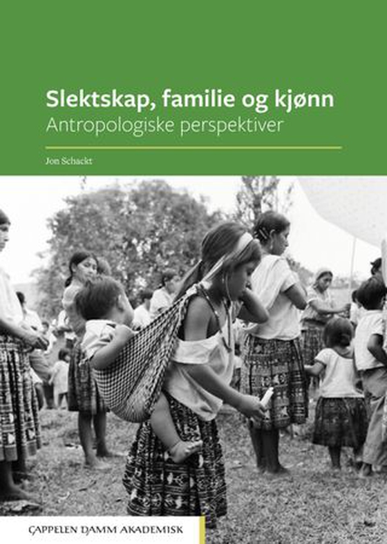 Slektskap, familie og kjønn - antropologiske perspektiver (ebok) av Jon Schackt