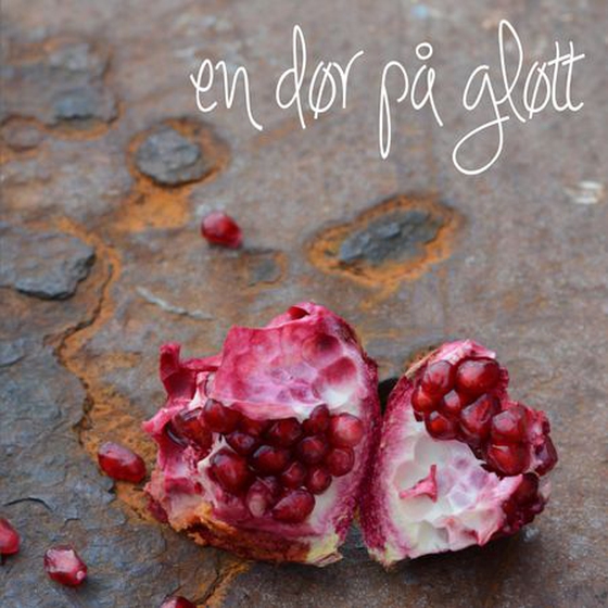 En dør på gløtt (lydbok) av Marianne Grung Farsund