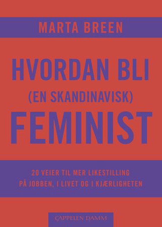 Hvordan bli (en skandinavisk) feminist