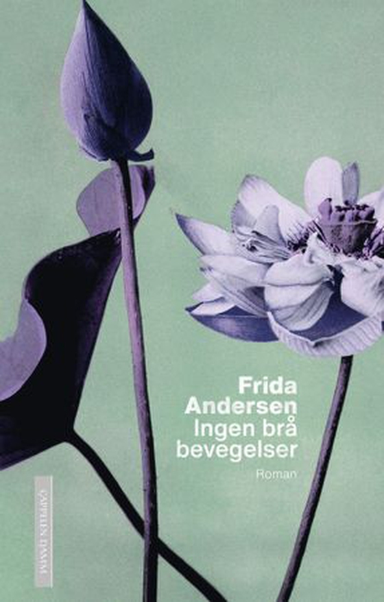 Ingen brå bevegelser - roman (ebok) av Frida Andersen