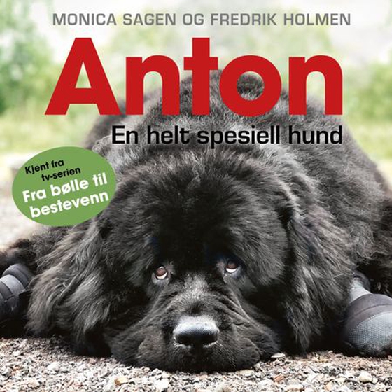 Anton - en helt spesiell hund (lydbok) av Monica Sagen