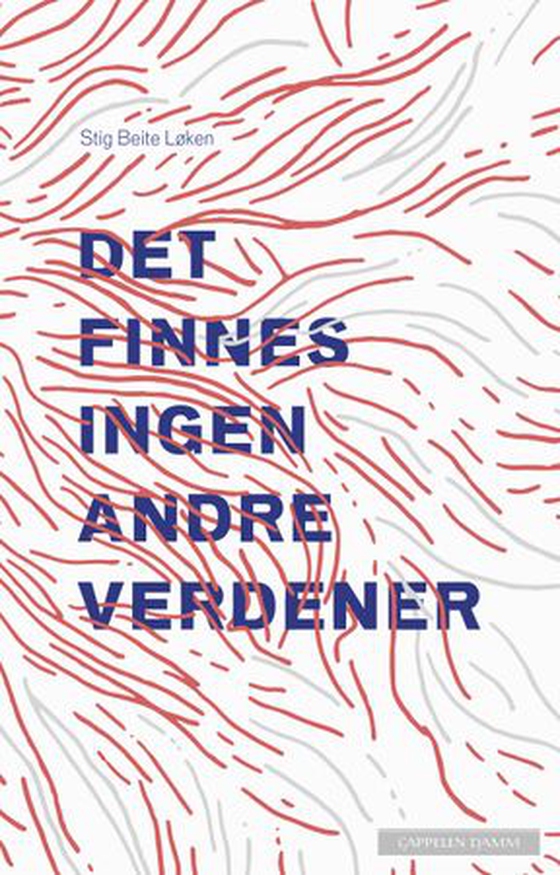 Det finnes ingen andre verdener (ebok) av Stig Beite Løken