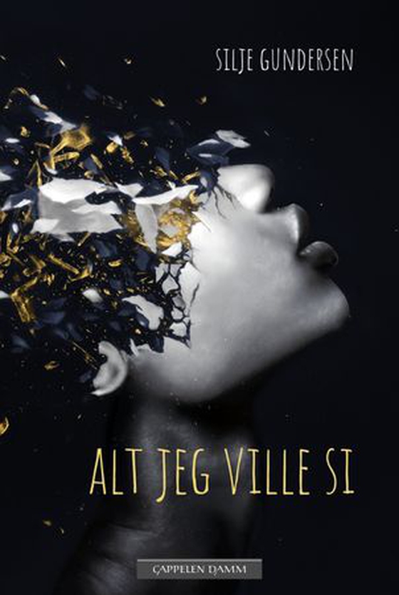 Alt jeg ville si (ebok) av Silje Gundersen