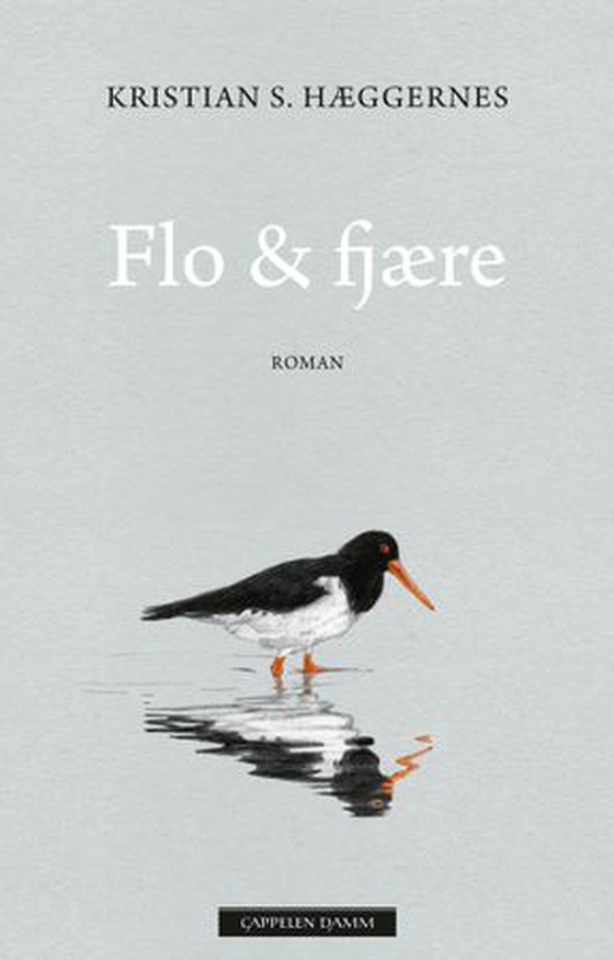 Flo & fjære