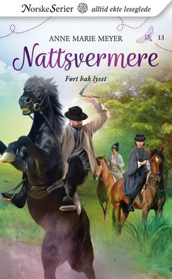 Ført bak lyset (ebok) av Anne Marie Meyer