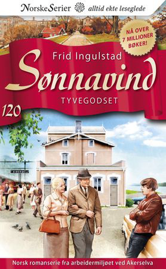 Tyvegodset (ebok) av Frid Ingulstad