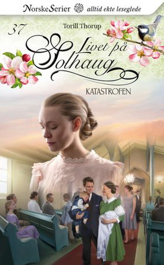 Katastrofen (ebok) av Torill Thorup