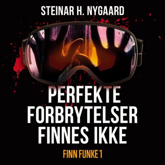 Perfekte forbrytelser finnes ikke