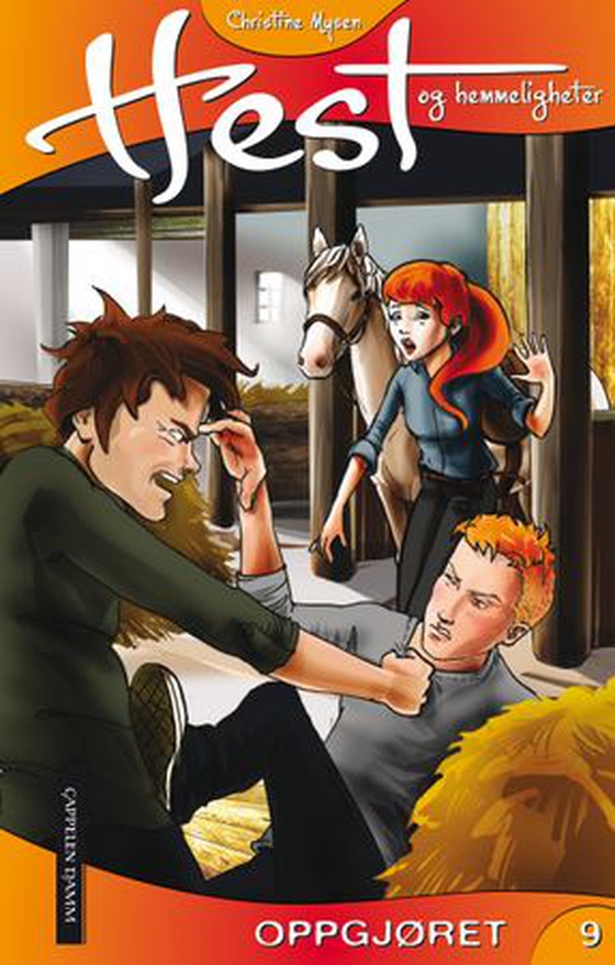 Oppgjøret (ebok) av Christine Mysen