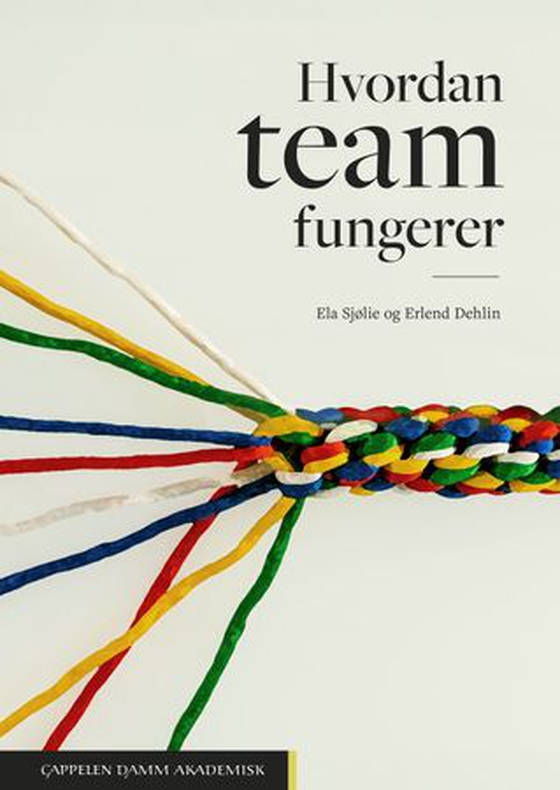 Hvordan team fungerer (ebok) av Ela Sjølie
