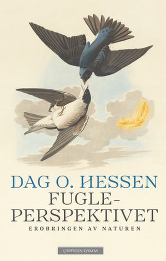 Fugleperspektivet