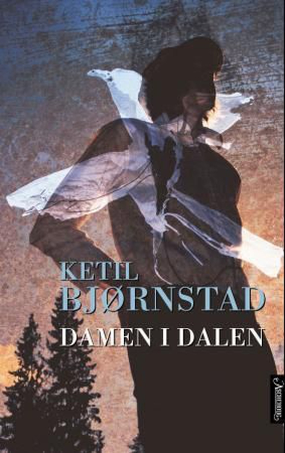 Damen i dalen (ebok) av Ketil Bjørnstad