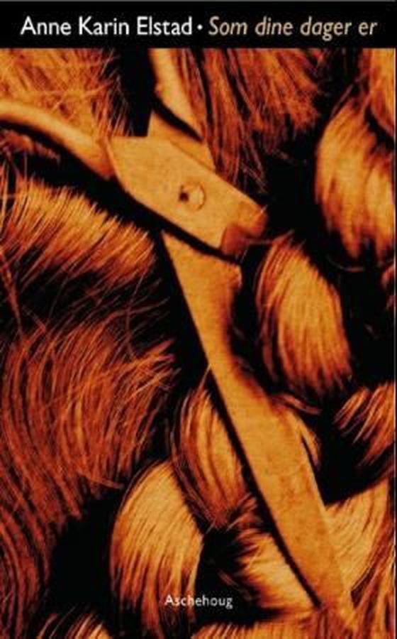 Som dine dager er (ebok) av Anne Karin Elstad